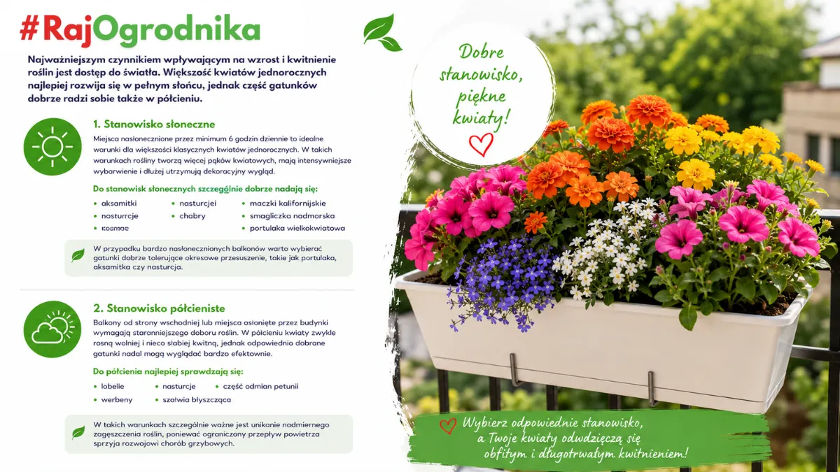 Dobór kwiatów do stanowiska blog sklep rajogrodnika